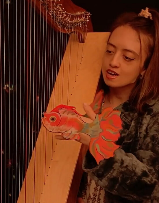Reve-Lune_Affiche-Harp'Anna-light